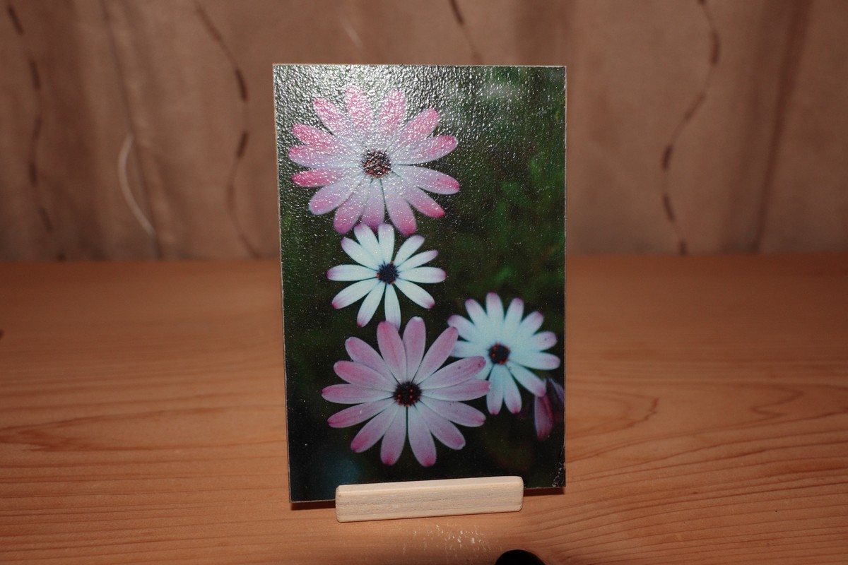 複数の花を寄せて写したウッドフォトパネル