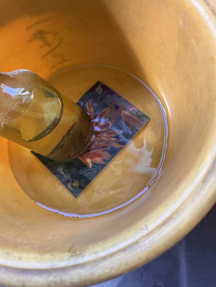 水に沈めてしばらく経過した作品