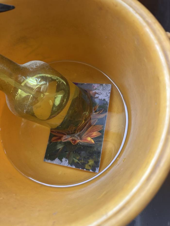 水に沈めて約4時間経過した作品